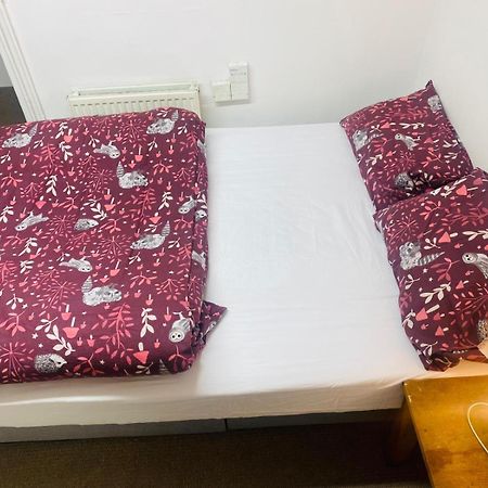 Cozy Studio Opposite Chelsea Stadium 런던 외부 사진