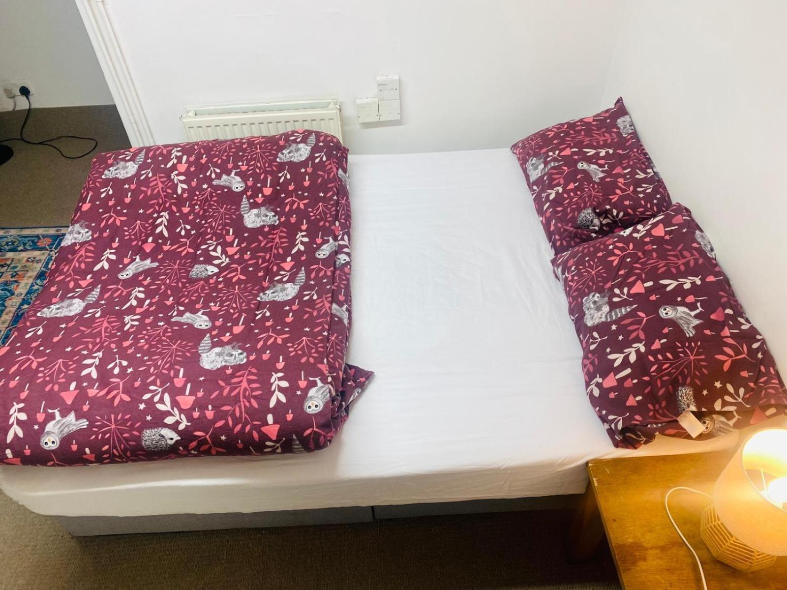Cozy Studio Opposite Chelsea Stadium 런던 외부 사진